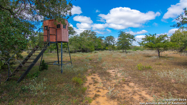 Listing photo id 22 for Tbd County Road 434