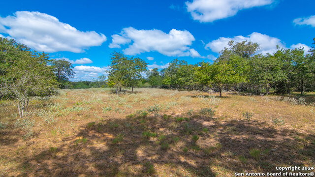 Listing photo id 23 for Tbd County Road 434