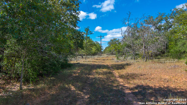 Listing photo id 24 for Tbd County Road 434