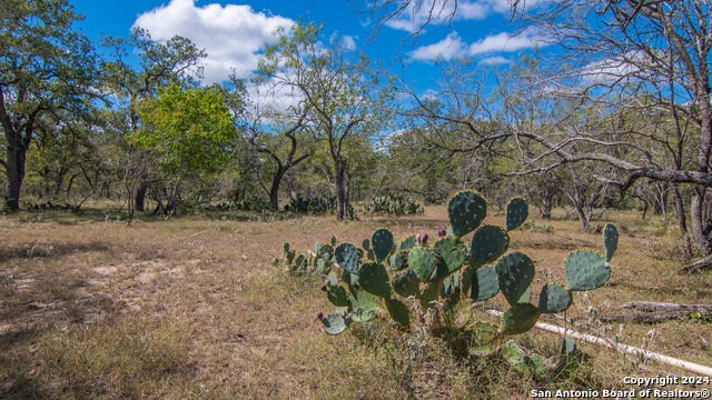 Listing photo id 1 for Tbd County Road 434