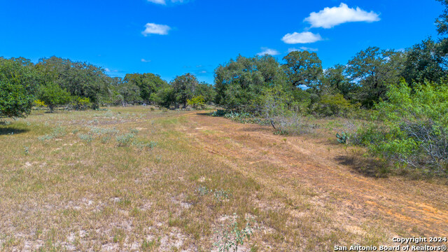 Listing photo id 4 for Tbd County Road 434