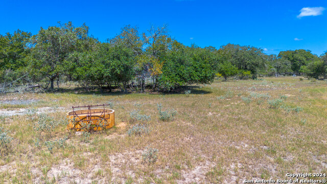 Listing photo id 5 for Tbd County Road 434