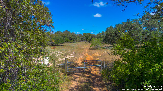 Listing photo id 6 for Tbd County Road 434