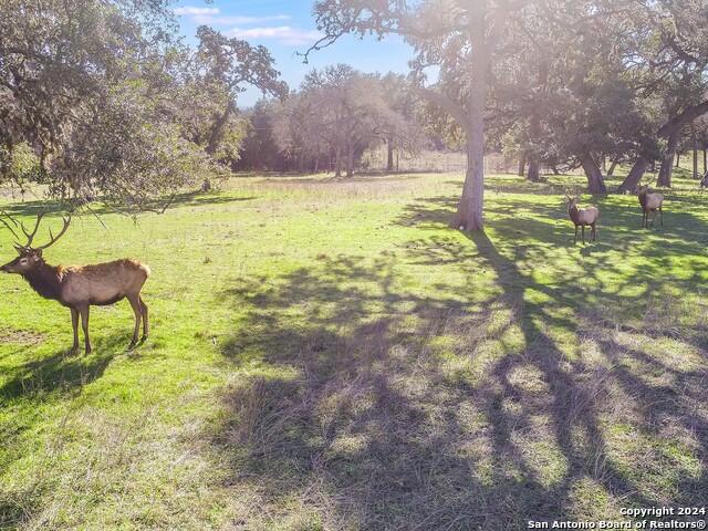 Image 6 of 10 For Lot 35 Blackbuck Trail