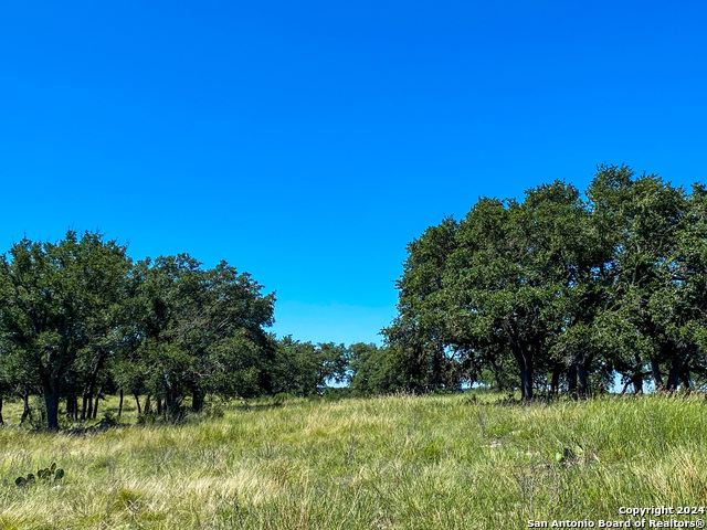 Image 13 of 23 For Lot 68 Loma Vista Ranch