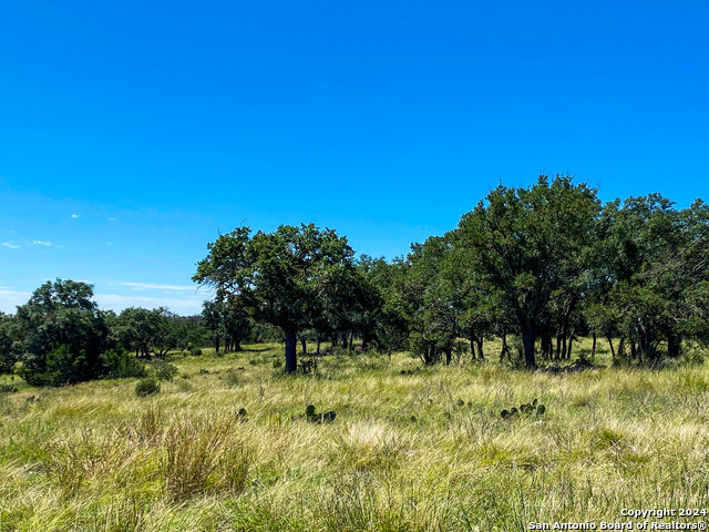 Image 14 of 23 For Lot 68 Loma Vista Ranch