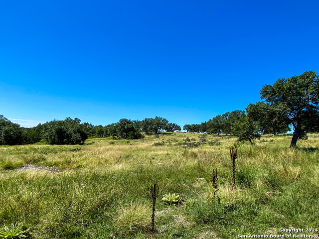 Image 15 of 23 For Lot 68 Loma Vista Ranch