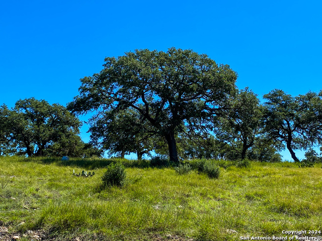 Image 2 of 23 For Lot 68 Loma Vista Ranch