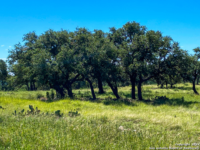 Image 5 of 23 For Lot 68 Loma Vista Ranch