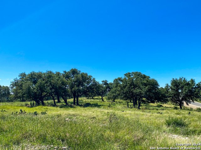 Image 6 of 23 For Lot 68 Loma Vista Ranch