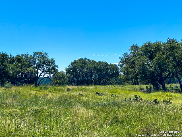 Image 8 of 23 For Lot 68 Loma Vista Ranch