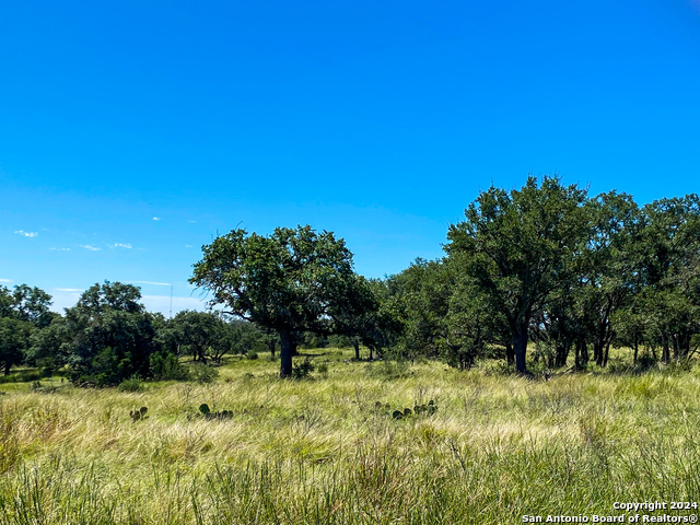 Image 9 of 23 For Lot 68 Loma Vista Ranch