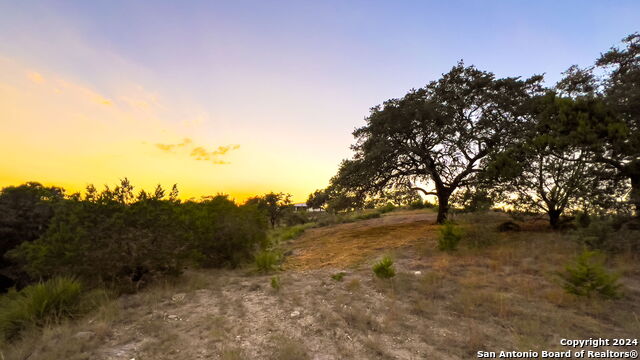 Image 9 of 18 For 512 Gray Fox