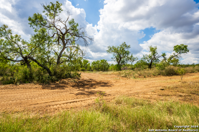 Image 15 of 23 For 340 County Road 548