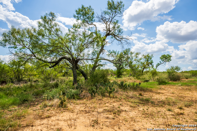 Image 18 of 23 For 340 County Road 548