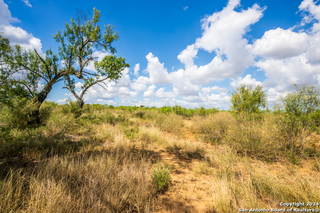 Image 20 of 23 For 340 County Road 548