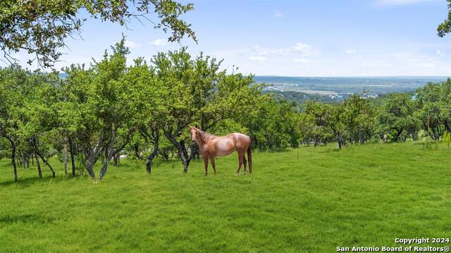 Details for 317 Scenic Ridge, SPICEWOOD, TX 78669