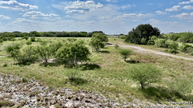 Details for 10 Acres County Road 216, Falls City, TX 78113