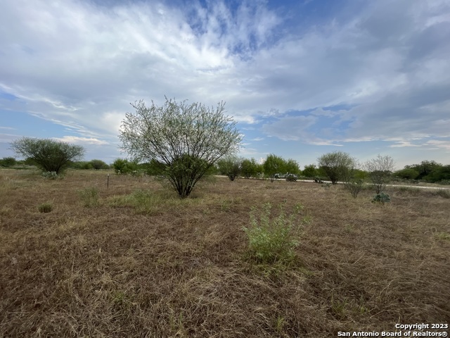 Details for Tbd Cr 3415 Lot 9 Blk 22, Pearsall, TX 78061