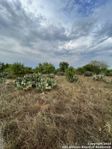 Image 7 of 10 For Tbd Cr 3435 Lot 13 Blk 16