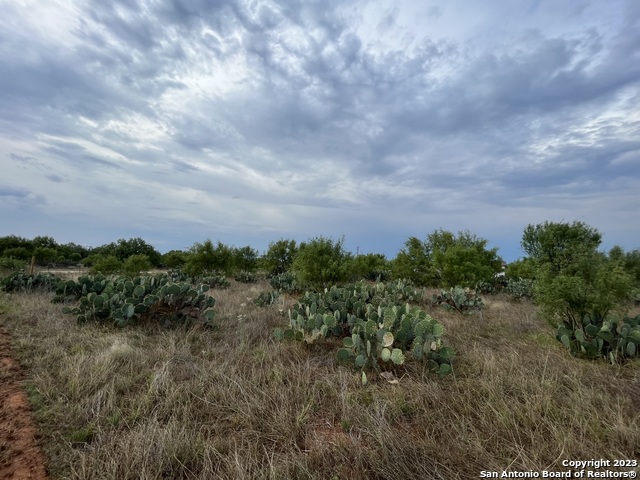 Image 8 of 10 For Tbd Cr 3435 Lot 13 Blk 16