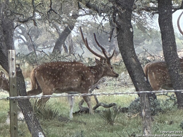 Image 21 of 26 For 16 Antler Ridge