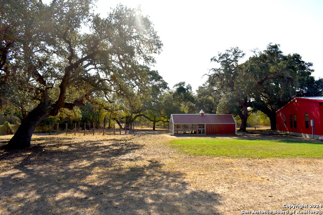 Image 8 of 30 For 486 County Road 333