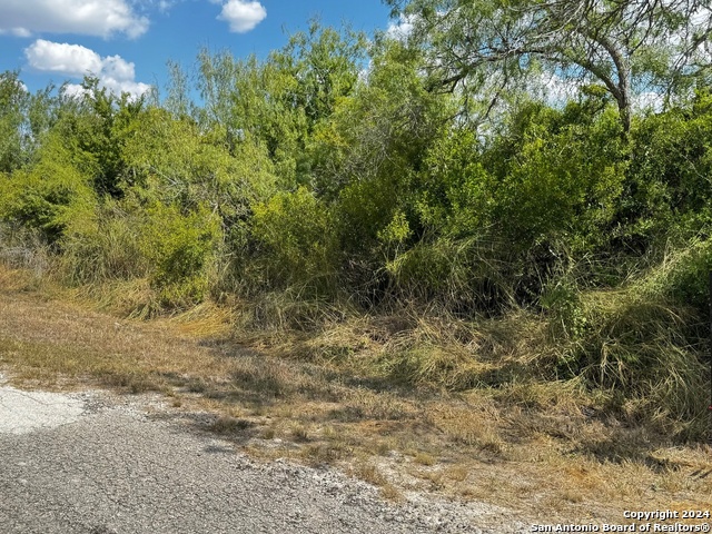 Details for Lot 31 Clearview Cir., Sandia, TX 78383