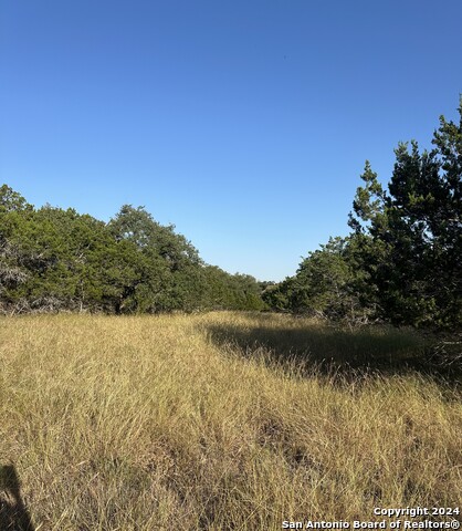 Details for 00 Palomino Spgs, Bandera, TX 78003