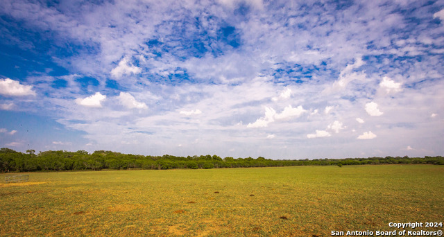 Image 9 of 34 For 1227 County Road 104