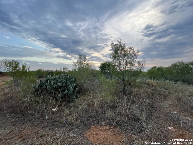 Listing photo id 0 for Tbd Cr 3420 Lot 4 Blk 5