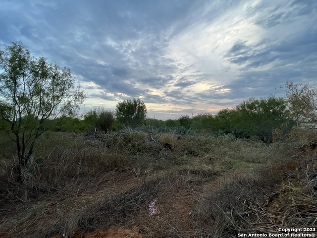Listing photo id 2 for Tbd Cr 3420 Lot 4 Blk 5