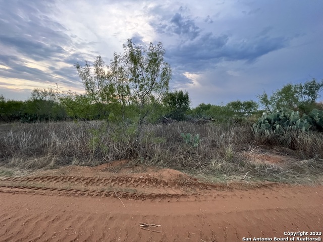 Listing photo id 4 for Tbd Cr 3420 Lot 4 Blk 5