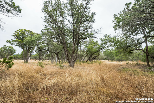 Image 10 of 15 For 0 Buffalo Springs