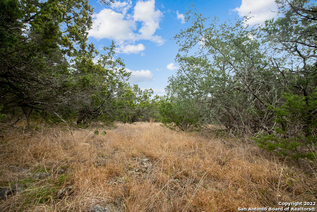 Image 11 of 15 For 0 Buffalo Springs