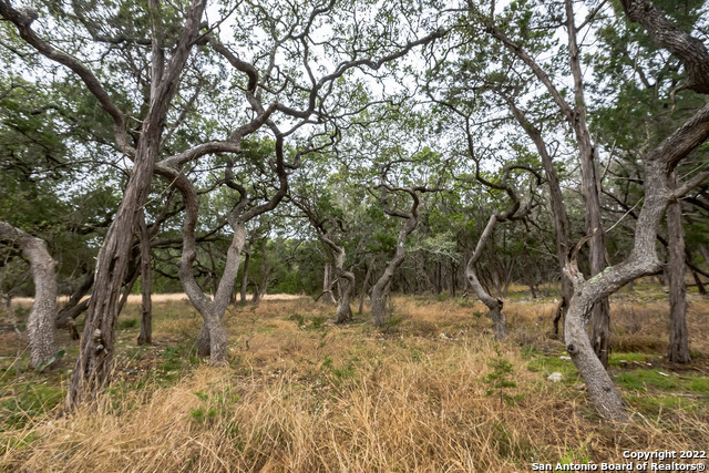 Image 13 of 15 For 0 Buffalo Springs