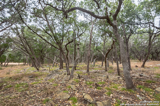 Image 14 of 15 For 0 Buffalo Springs