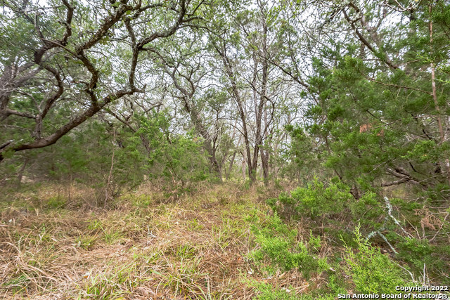 Image 15 of 15 For 0 Buffalo Springs