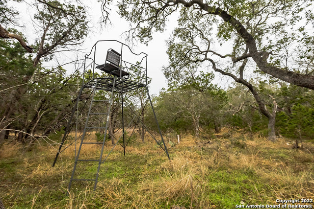 Image 8 of 15 For 0 Buffalo Springs