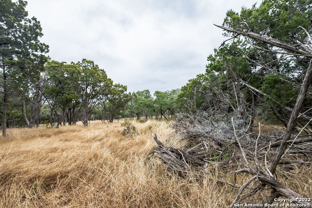 Image 9 of 15 For 0 Buffalo Springs