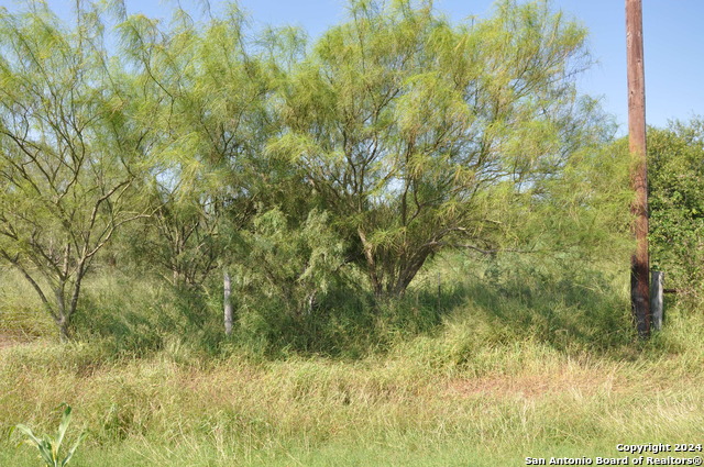 Image 18 of 21 For 000 Expressway 77 S