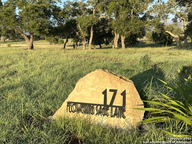 Details for 171 Flowering Sage, Fredericksburg, TX 78624