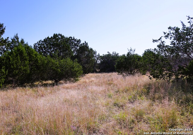 Image 4 of 26 For Lot 122 Palomino Springs