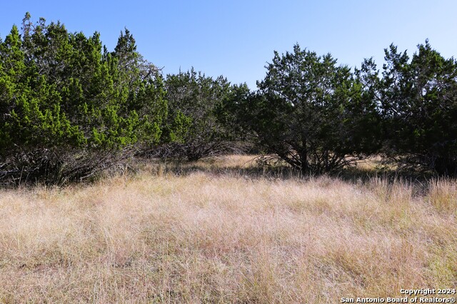 Image 5 of 26 For Lot 122 Palomino Springs