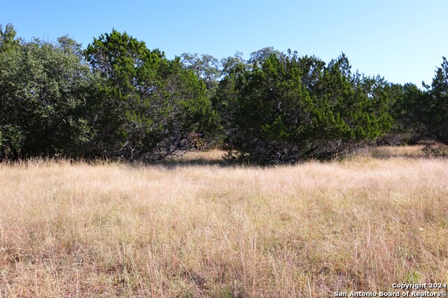 Image 7 of 26 For Lot 122 Palomino Springs