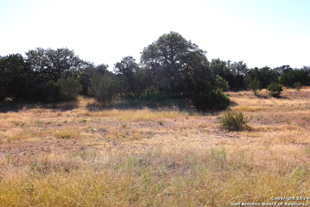 Image 8 of 26 For Lot 122 Palomino Springs