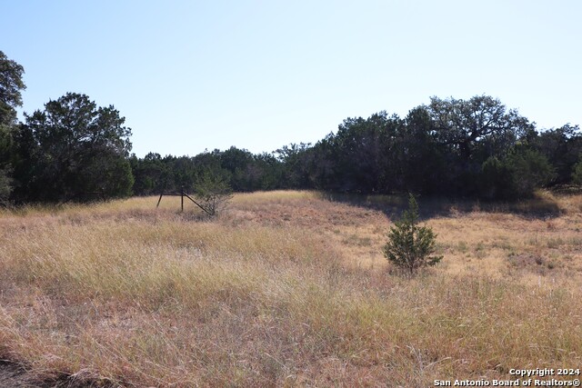 Image 9 of 26 For Lot 122 Palomino Springs