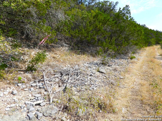 Image 13 of 17 For Tbd Skyline Trail