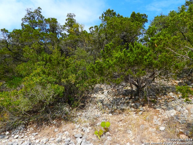 Image 15 of 17 For Tbd Skyline Trail