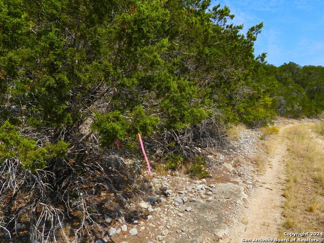 Image 17 of 17 For Tbd Skyline Trail